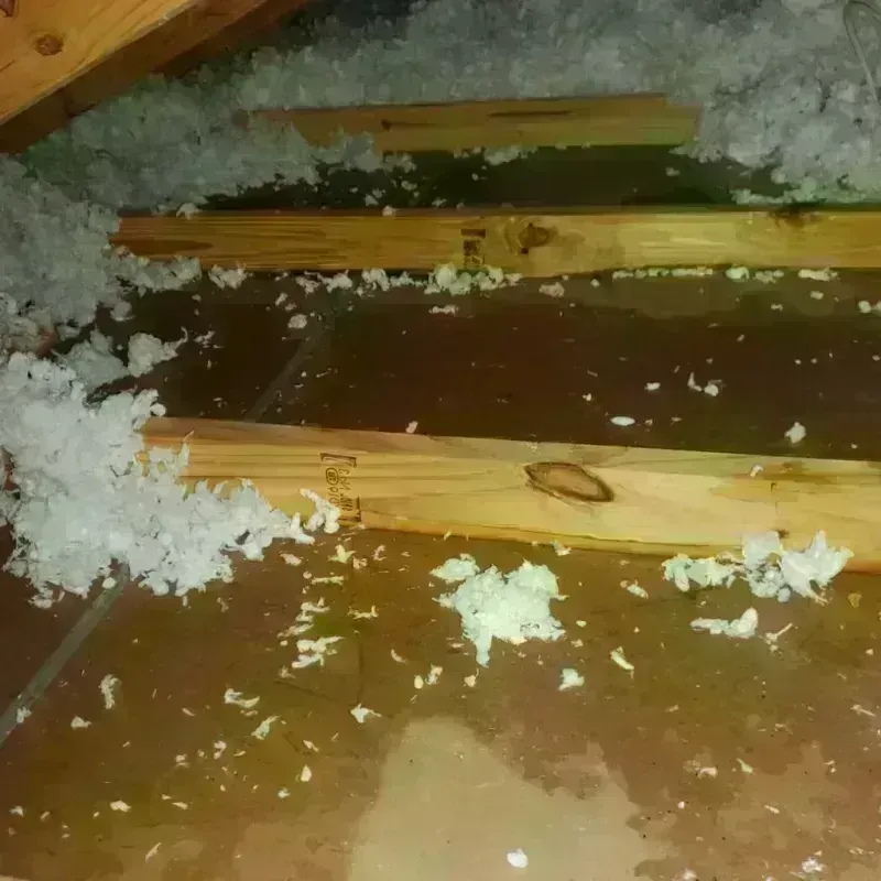 Attic Water Damage in River Park, FL